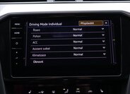 Volkswagen Passat 25