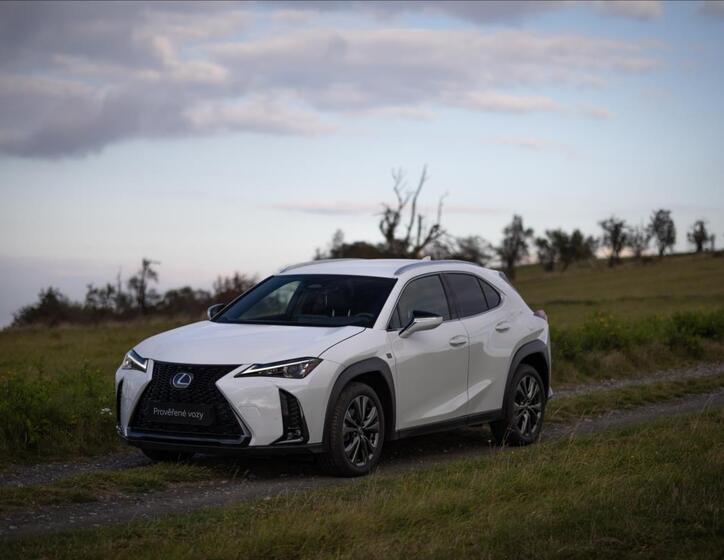 Lexus UX 300h 1