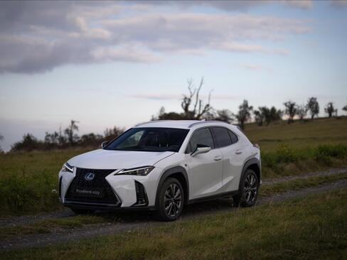 Lexus UX 300h