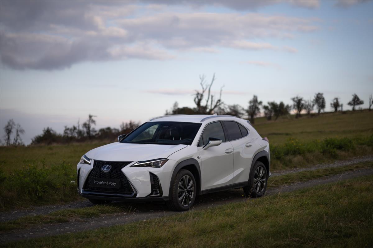 Lexus UX 300h