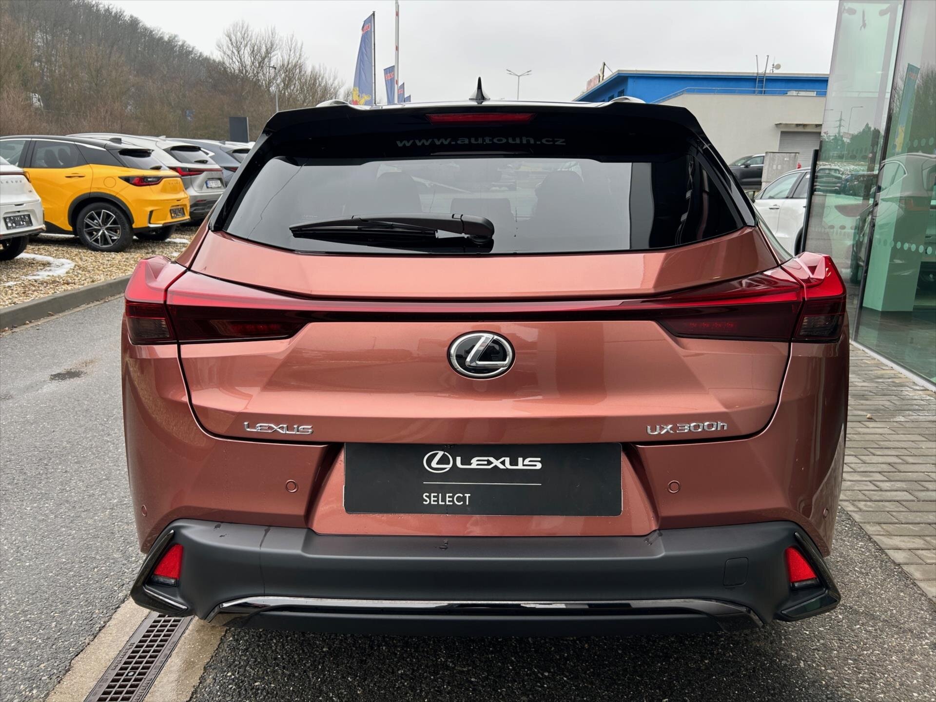 Lexus UX 300h SUV / Terénní 2,0 l 135 kw