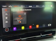 Cupra Formentor SUV / Terénní 1,5 l 110 kw