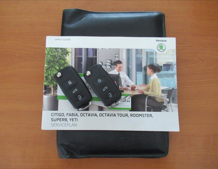 Škoda Fabia Hatchback 1,2 l 51 kw