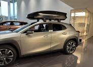Lexus UX 250h 3