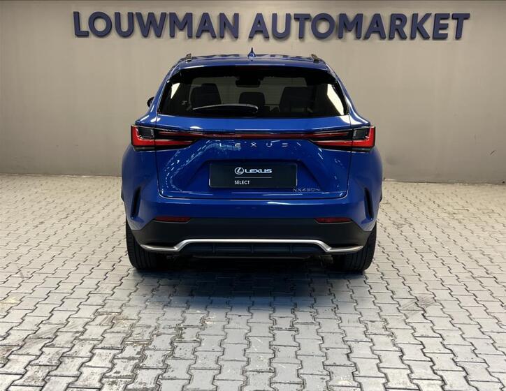 Lexus NX 450h plus 12