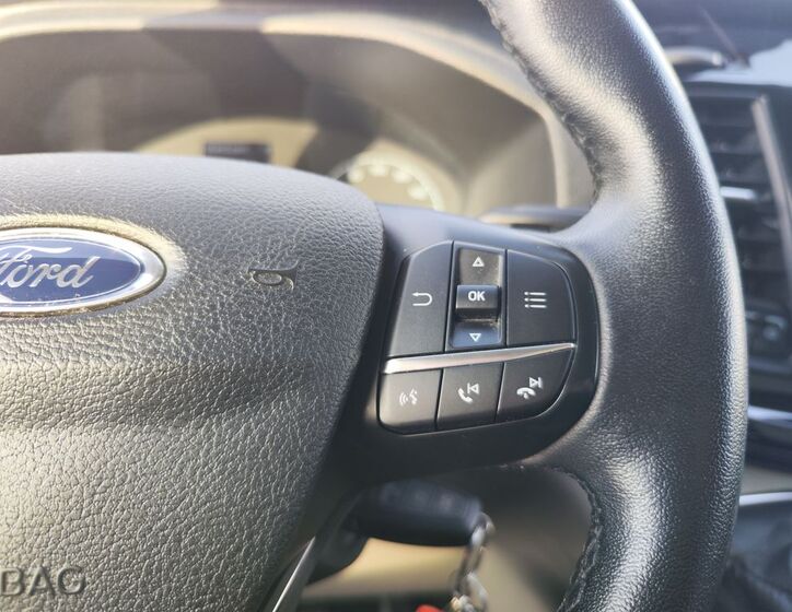 Ford Tourneo Custom 25