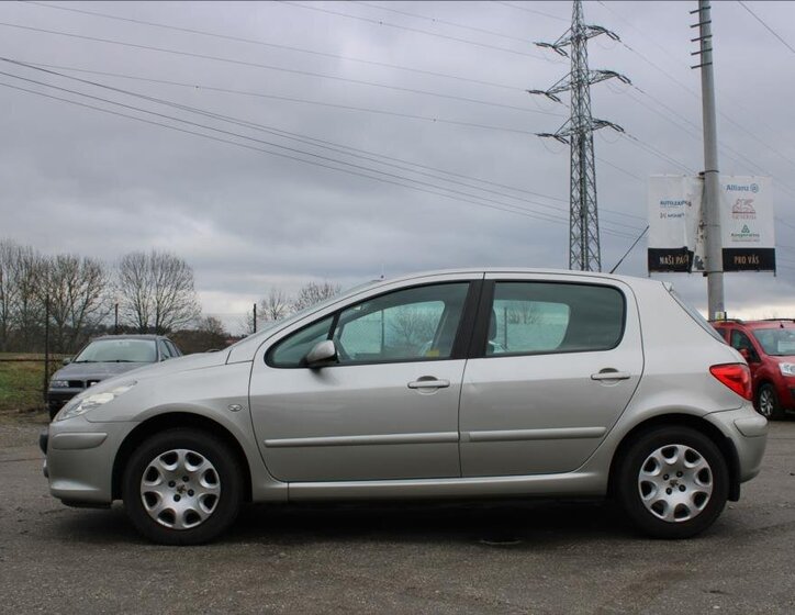 Peugeot 307 Hatchback 1,6 l 66 kw