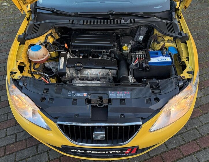 Seat Ibiza 18