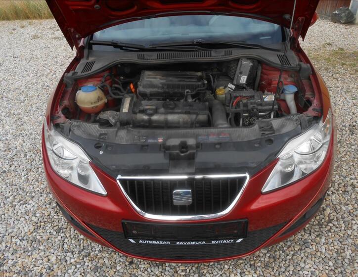 Seat Ibiza 20