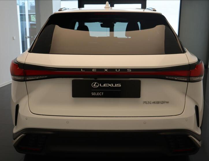 Lexus RX 450h+ 9
