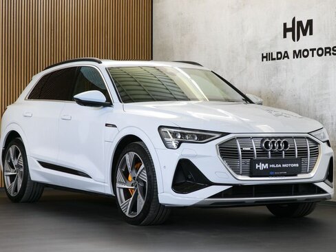 Audi e-tron SUV / Terénní 0,0 300 kw