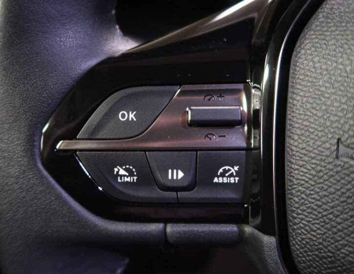 Peugeot 308 Hatchback 1,2 l 96 kw