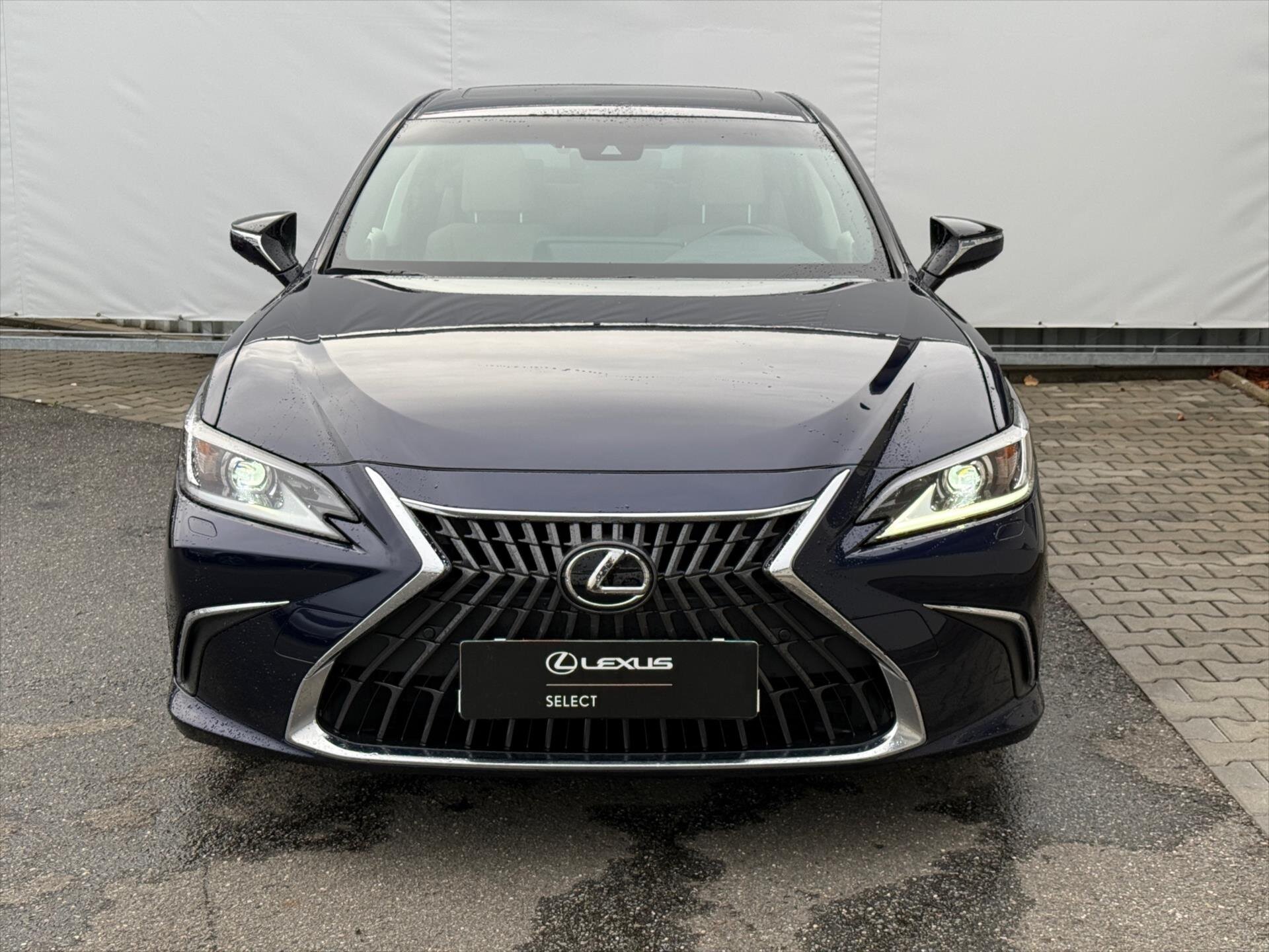 Lexus ES 300h Sedan 2,5 l 131 kw