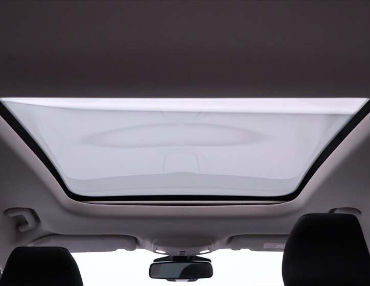 Ford S-MAX MPV 2,0 l 132 kw