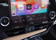 Lexus NX 450h plus 23