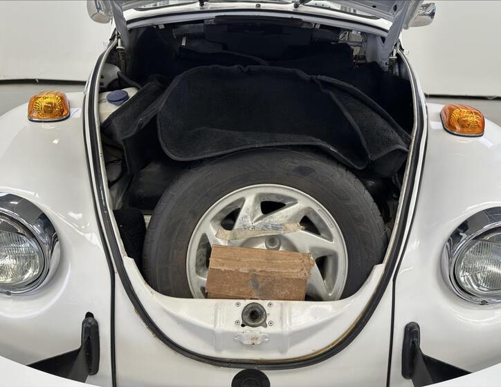 Volkswagen Beetle 20