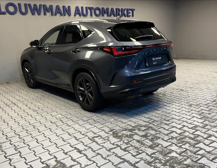 Lexus NX 350h 13