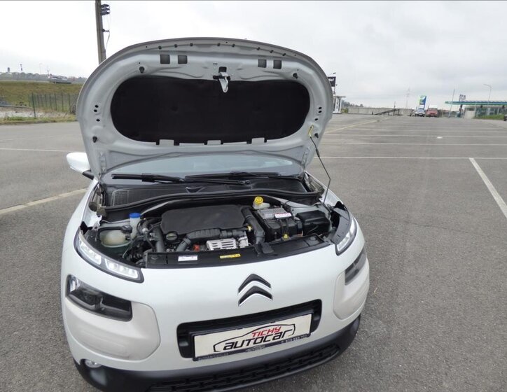 Citroën C4 Cactus 38
