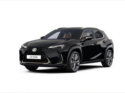 Lexus UX 300h Hatchback 2,0 l 146 kw
