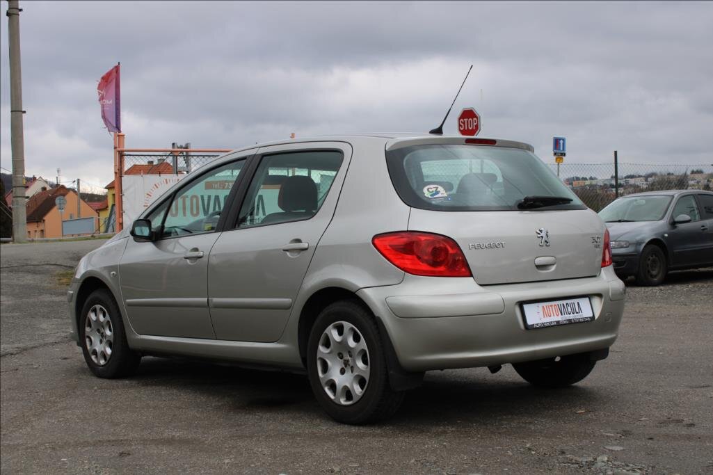 Peugeot 307 Hatchback 1,6 l 66 kw