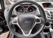 Ford Fiesta 17