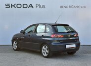 Seat Ibiza 10