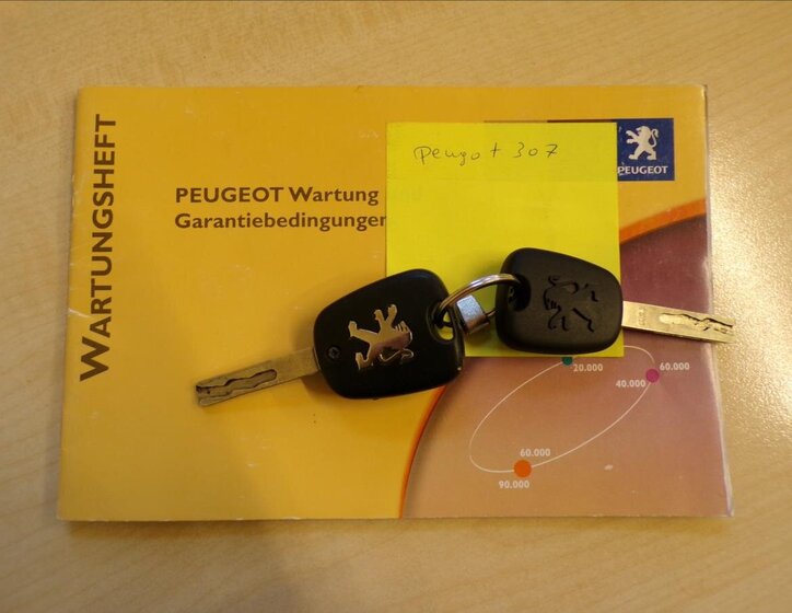 Peugeot 307 Hatchback 1,6 l 80 kw