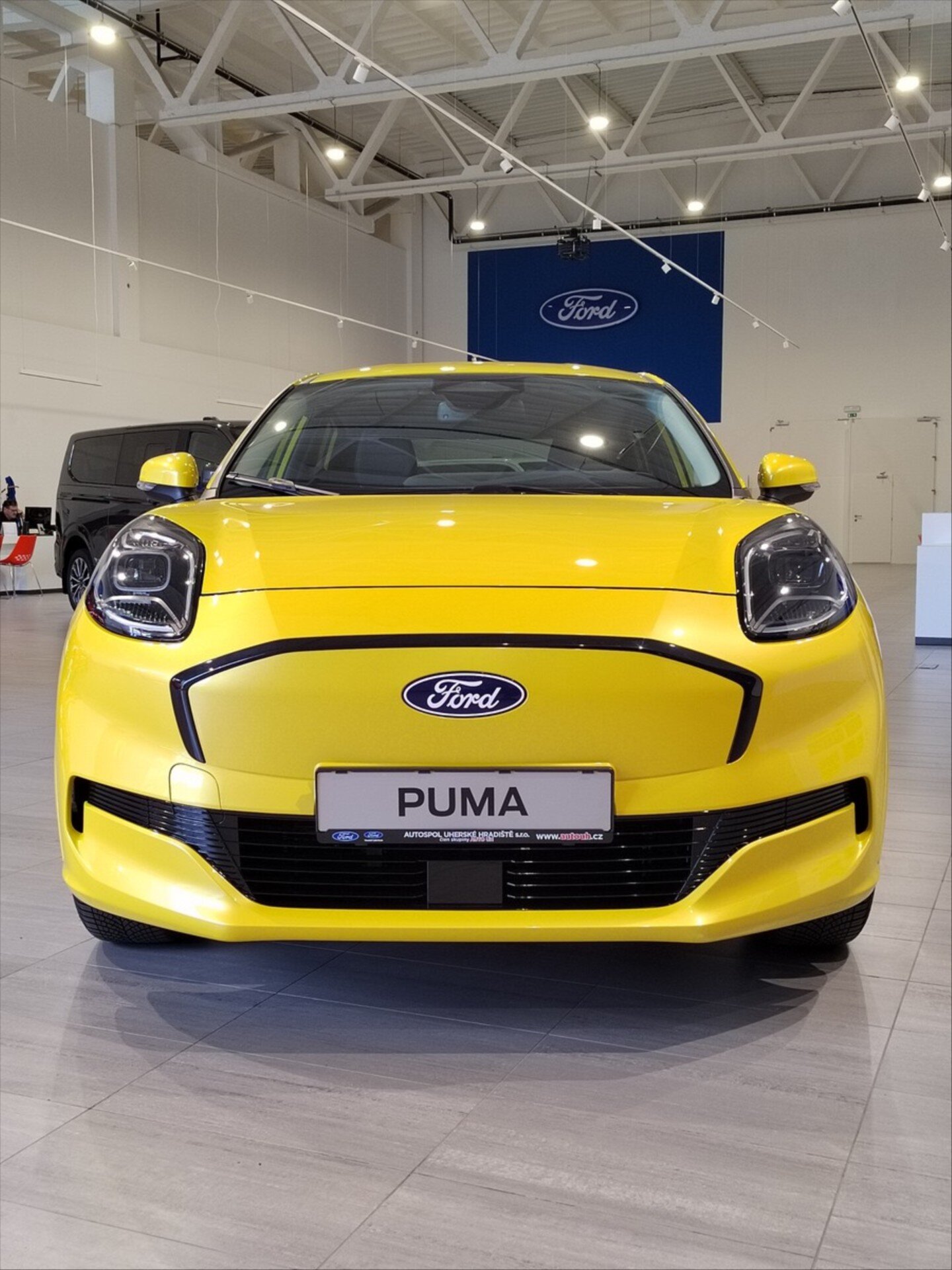 Ford Puma SUV 0,0 123 kw