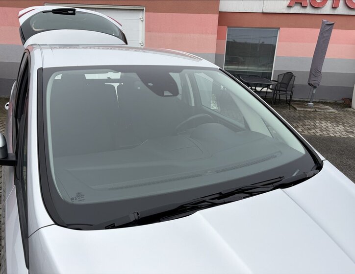 Ford S-MAX Kombi 2,0 l 110 kw