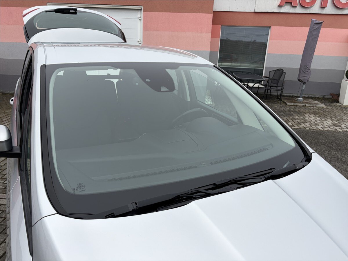 Ford S-MAX Kombi 2,0 l 110 kw