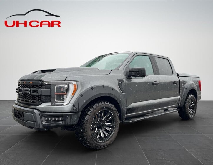 Ford F-150 Pick-up 5,0 l 298 kw