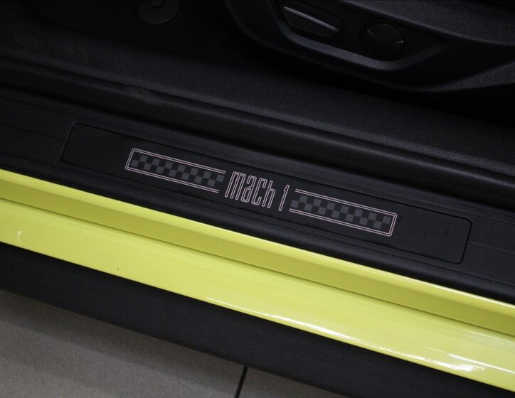 Ford Mustang Kupé 5,0 l 338 kw