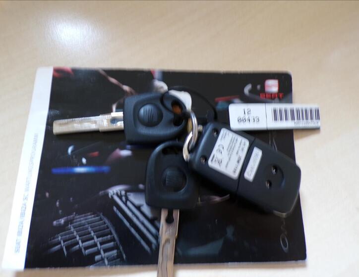 Seat Ibiza 19