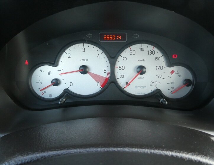 Peugeot 206 Hatchback 1,6 l 80 kw