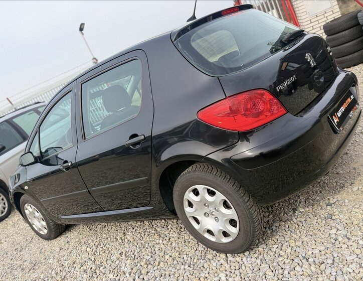 Peugeot 307 Hatchback 1,6 l 80 kw