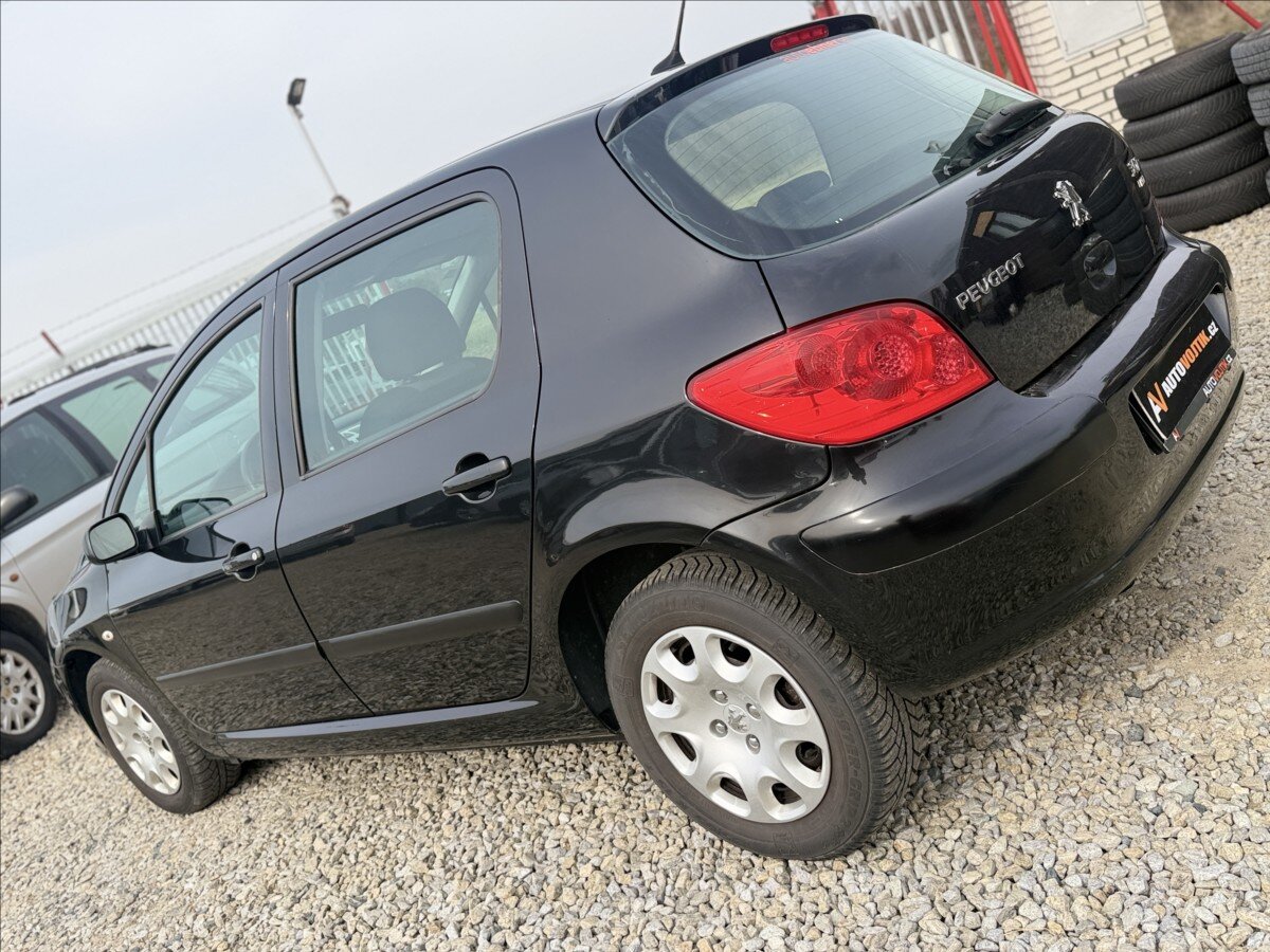 Peugeot 307 Hatchback 1,6 l 80 kw