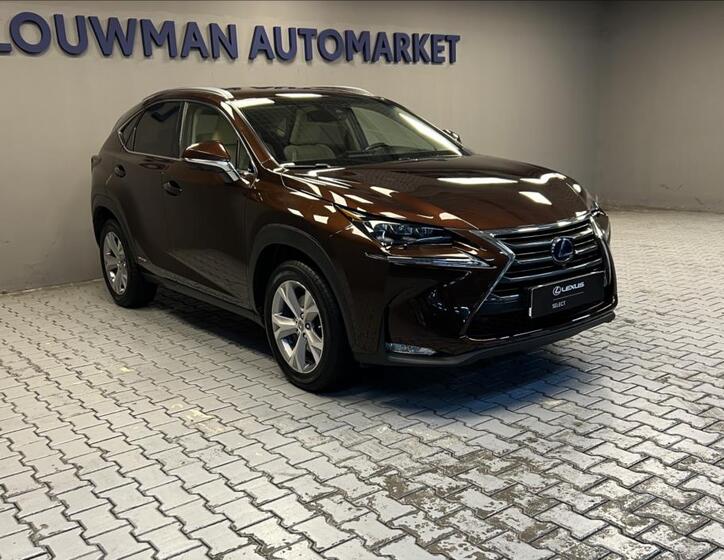 Lexus NX 300h 11