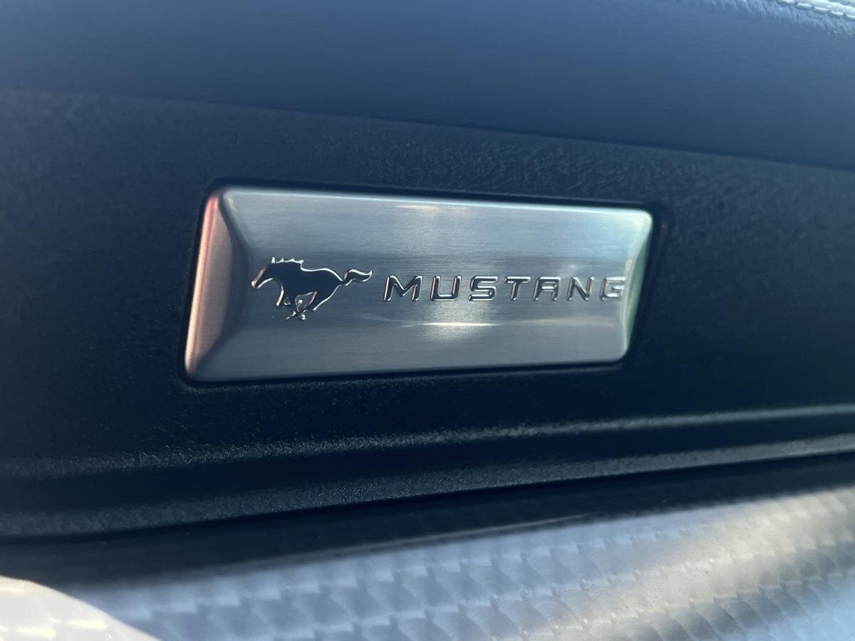 Ford Mustang Ostatní 5,0 l 551 kw