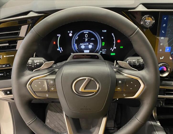 Lexus RX 450h plus 16