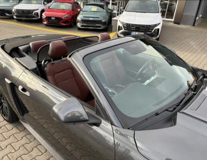 Ford Mustang Kabriolet 5,0 l 310 kw