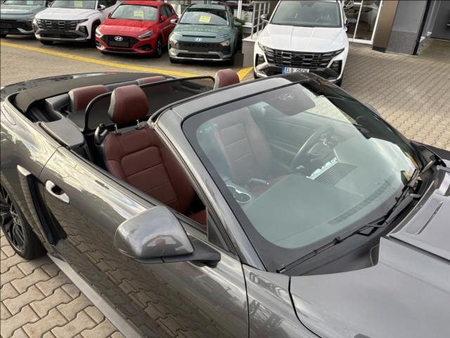 Ford Mustang Kabriolet 5,0 l 310 kw