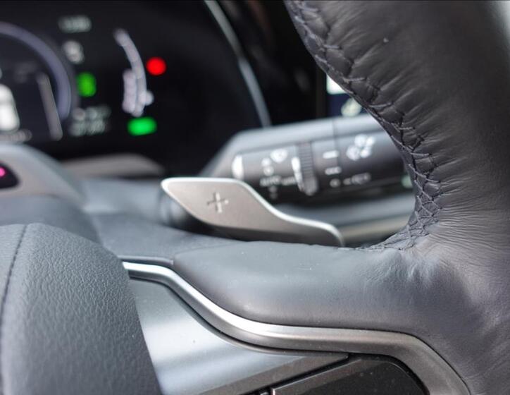 Lexus RX 450h plus 32