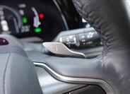 Lexus RX 450h plus 32