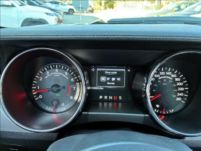 Ford Mustang Kabriolet 5,0 l 310 kw