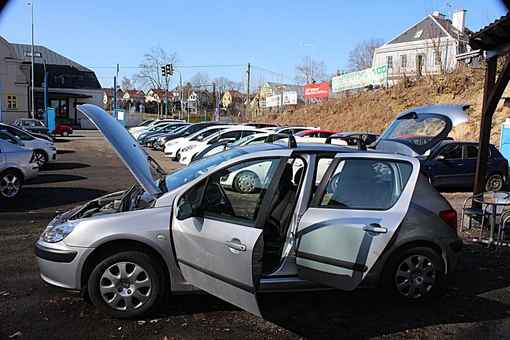 Peugeot 307 Hatchback 2,0 l 66 kw