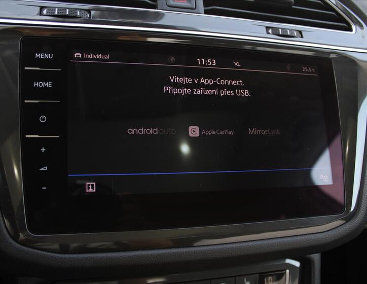 Volkswagen Tiguan 19