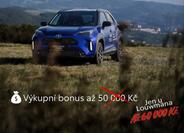 Toyota Yaris Cross 7