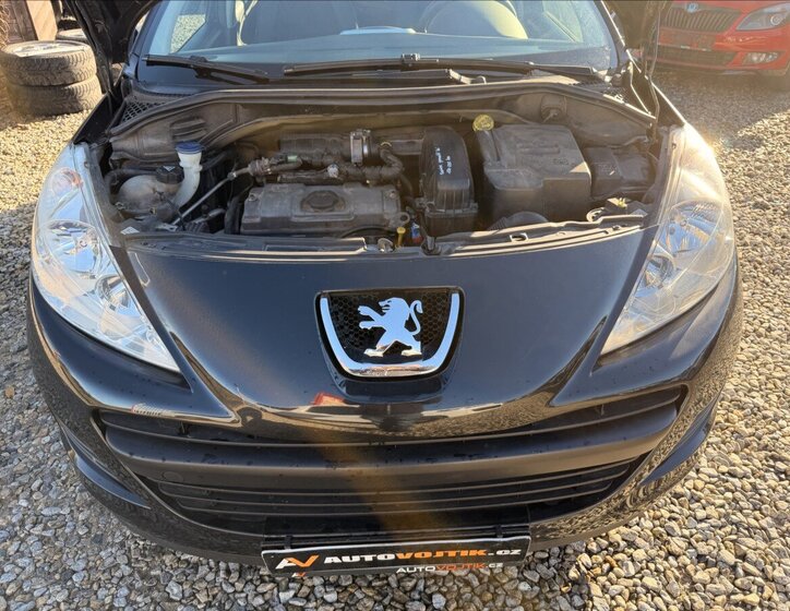 Peugeot 207 23