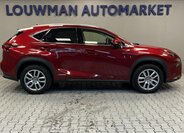 Lexus NX 300h 14