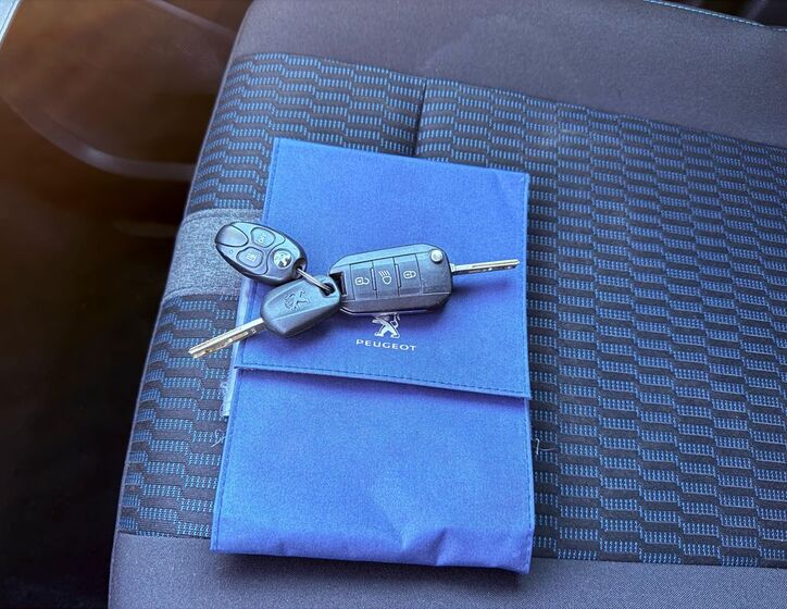 Peugeot Traveller 21